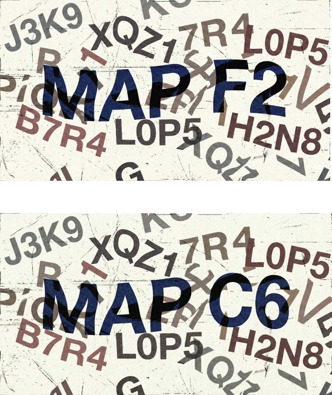 Le coordinate rivelate: MAP F2 e MAP C6